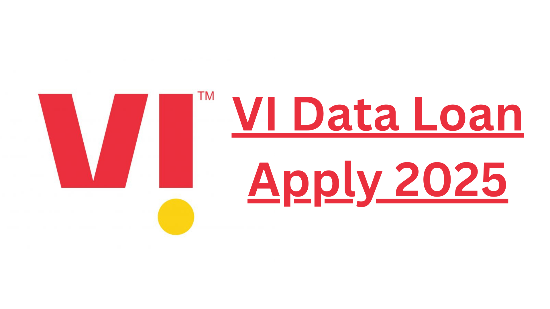 vi data loan number